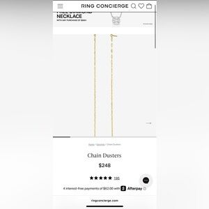 Ring Concierge Chain Dusters - Perfect Condition
